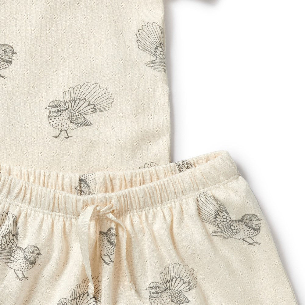 Little Fantail Organic Pointelle Short Sleeved Pyjamas